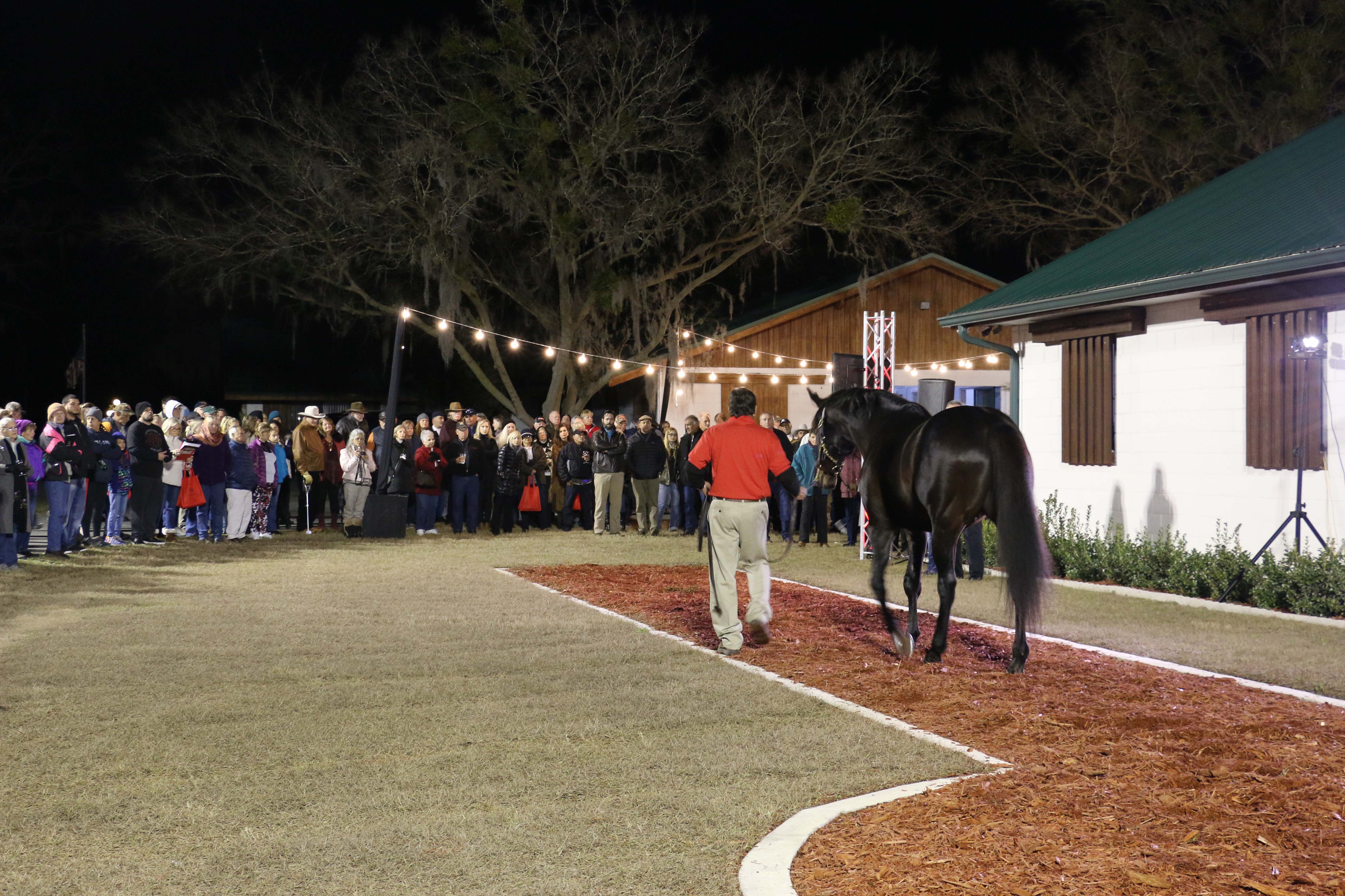 Social Scene: From Stallion Shows to HITS, we plan to cover the social scenes that make Marion County unique!