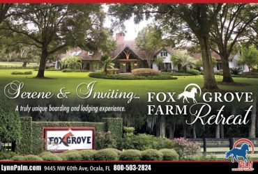 Short Term Lodging and Stabling at Fox Grove Farm