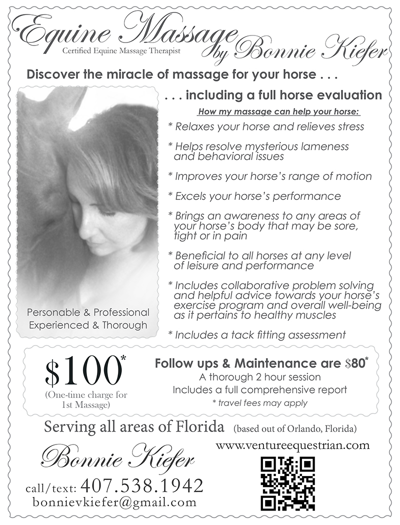 Equine Massage Therapy…Specializing in helping horses with difficult/mysterious issues