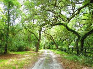 SPORTSMAN’S RETREAT, APPROX. 51 ACRES WITH 2100 +/- FEET ON OUTFALL CANAL IN HERNANDO, FL