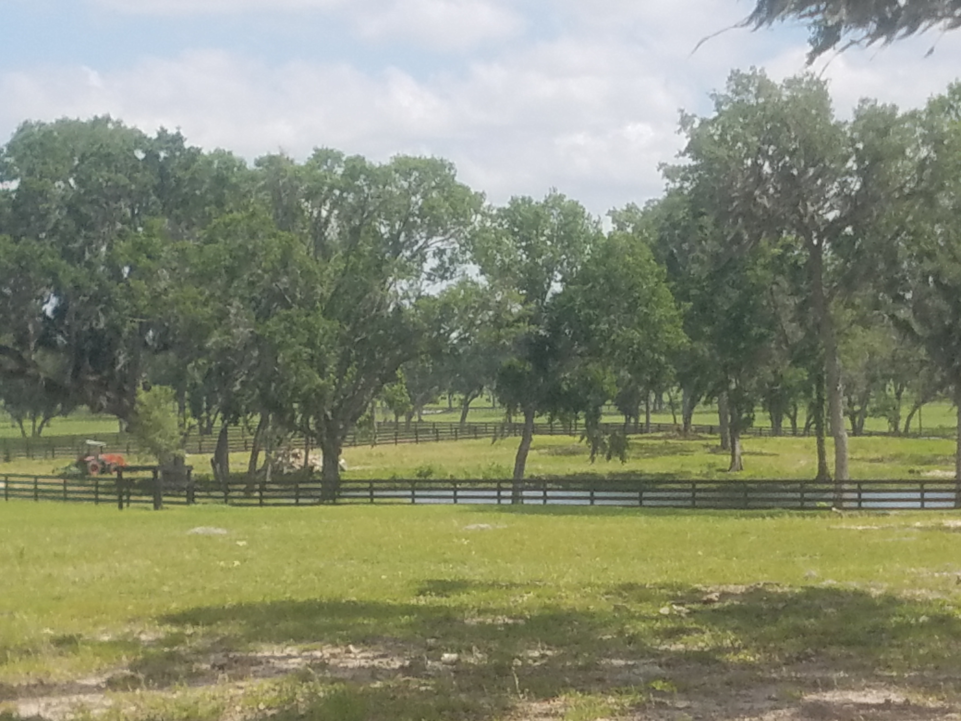 premier horse boarding facility located in the heart of Northwest Ocala. Just minutes from the World Equestrian Center and HITS!