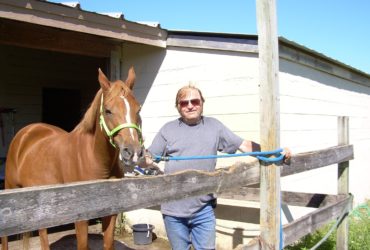 Experienced adult wants to lease your horse…Ocala, Belleview etc